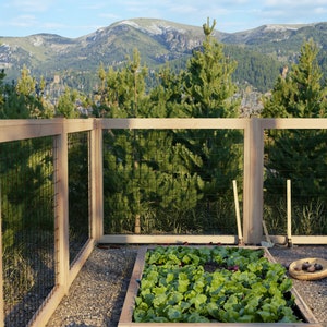 Greenes Fence Estacas de madera para jardín y poste de letrero de 3 pies  (paquete de 25)
