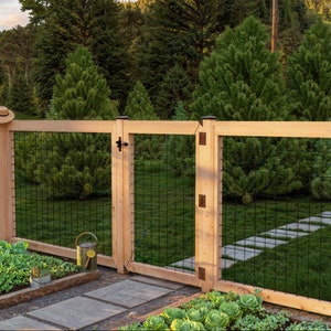 May include: A wooden fence with a black wire mesh panel and a gate. The fence is in a garden setting with green grass and a stone path.