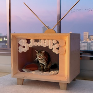 PDF Download, Vintage Fernseher Katzenhaus Bauanleitung, DIY Katzenhaus Plan, Indoor Katzenhaus Bauanleitung