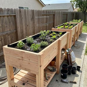 以下が含まれることがあります： 土と様々な植物で満たされた、いくつかの木製のレイズドガーデンベッド。ベッドは長方形で、天然木仕上げです。 園芸工具や用品が近くにあり、家庭菜園のセットアップを示唆しています。