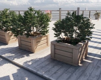 Puede incluir: Tres jardineras de madera con plantas verdes creciendo en su interior. Las jardineras están hechas de madera natural y tienen un aspecto rústico. Las jardineras están colocadas en una terraza de madera.