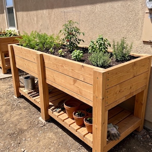 Peut inclure: Bacs de jardin surélevés en bois remplis de diverses plantes, dont des tomates, des herbes aromatiques et des carottes. Les bacs sont en bois naturel et ont une étagère inférieure pour le rangement. Un arrosoir et des gants de jardinage sont visibles.
