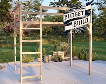 Full Loft Bed Plan with Ladder and Guard Rails, PDF Download