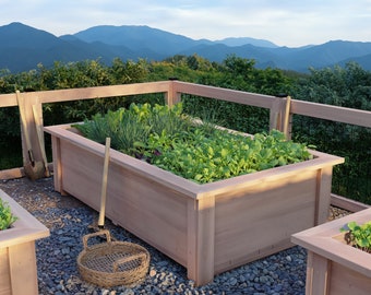 May include: A raised cedar wood garden bed with a variety of leafy green vegetables growing inside. The bed is situated on a gravel patio with a mountain view in the background.