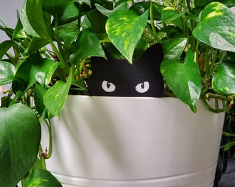 May include: A white planter with a black cat face peeking out from behind a green leafy plant.