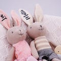 Personalized cuddly toy as the perfect gift for a birth, a sweet gift, a christening gift, a nursery gift, a birthday present, a soft toy product logo