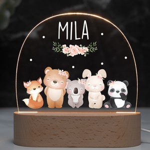Lampe de nuit personnalisée en acrylique, cadeau bébé naissance, cadeau baptême, chambre d'enfant, cadeau anniversaire, lampe de chevet