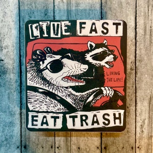 Live fast eat trash waterproof vinyl sticker decal raccoon possum street cats