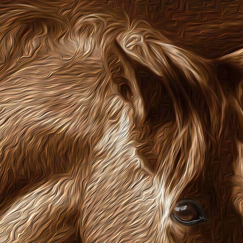 Wall Art Design Brown Horse Oil Painting shops Print on Canvas or Fine Art Paper, Tamed Horse Print Wall Art, Boho Decor, Gifts