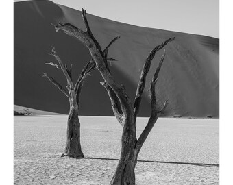 Deadvlei B&W_II