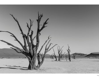 Deadvlei B&W_IV