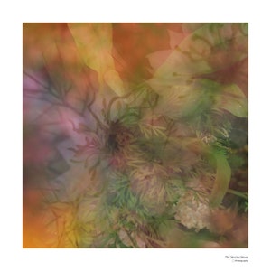 May include: An abstract floral photograph with a soft, dreamy feel. The image features a variety of flowers and foliage in shades of pink, green, and yellow, with a blurred background.