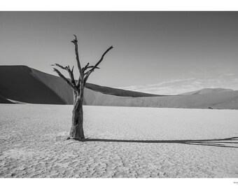 Deadvlei B&W_I