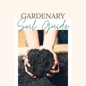 Peut inclure: Un guide pour créer et entretenir un sol organique sain pour votre jardin, écrit par Nicole Burke. La couverture présente une personne tenant une poignée de terre foncée.