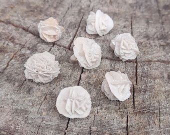 7 piccole rose del deserto in selenite naturale - Lotto di 7