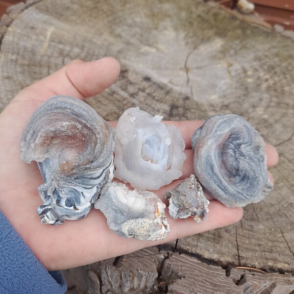 Chalcedony Geode - Etsy