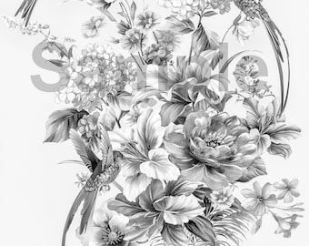 Coloring Page Hummingbirds Grayscale High Resolution Printable Single Coloring Page with Color Guide Hummingbird Heaven 2 #43