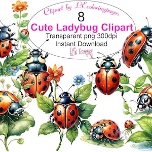 Clipart di coccinella carina Download immediato 8 file PNG Uso commerciale POD Uso Coccinelle Trasparente 300 dpi Arte digitale