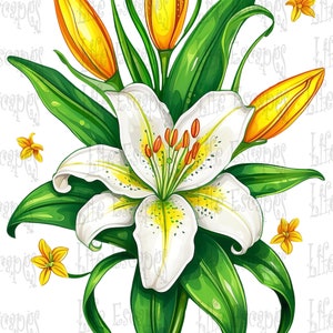 Printable Easter Lily Clipart Bundle - Set #1, PNG, Commercial Use ...