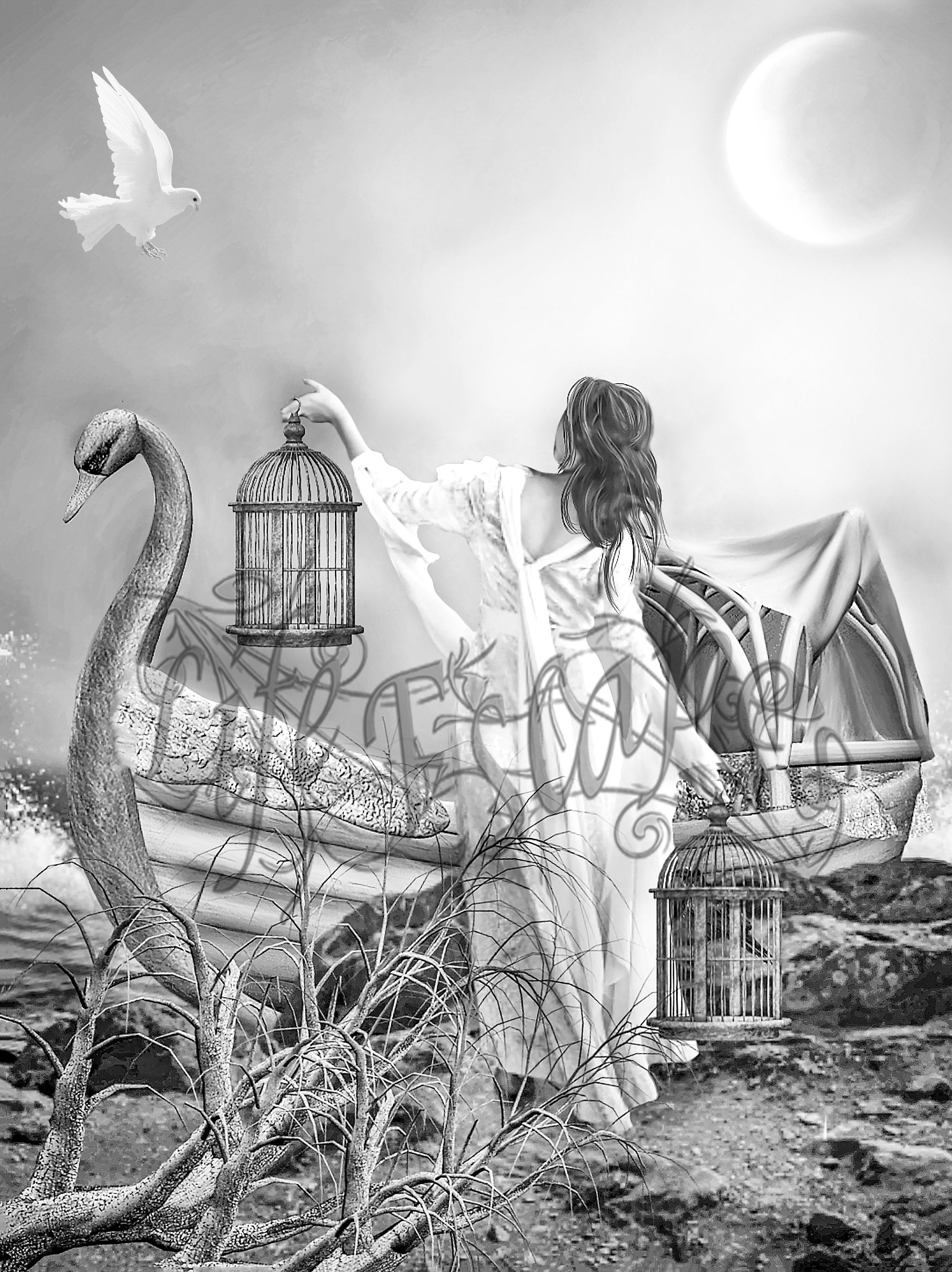 Coloring Page Fantasy Grayscale High Resolution Printable - Etsy