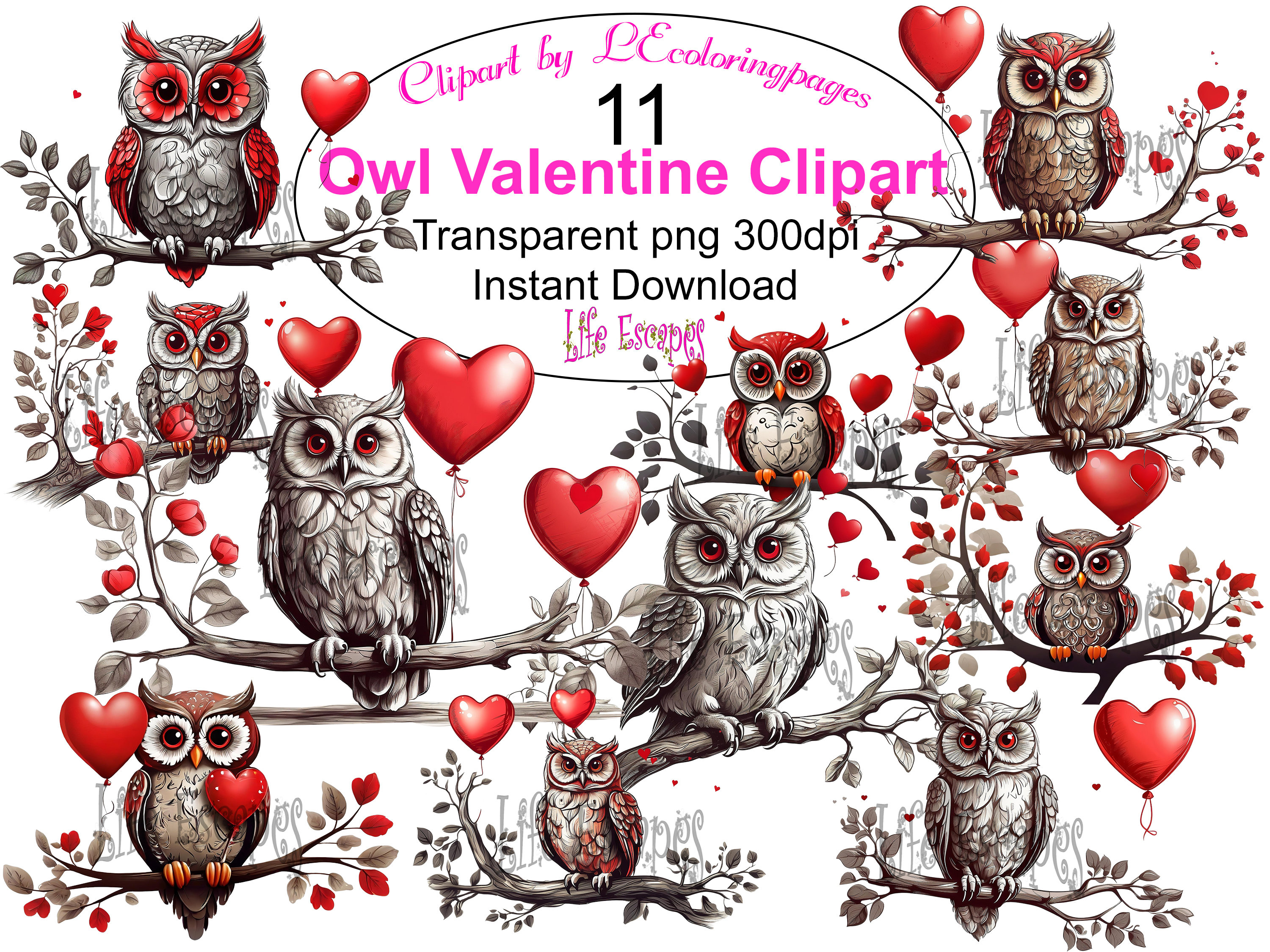 Owl Valentine Clipart Set, 11 Love Owls Illustration, Transparent PNG, Digital Download, Commercial 