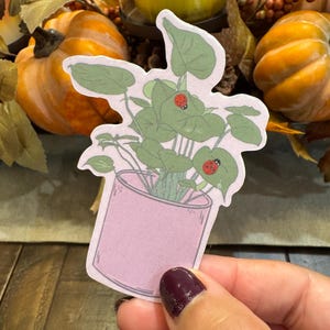 Plant, Botanical, Pink, Ladybugs, Stickers, Decal