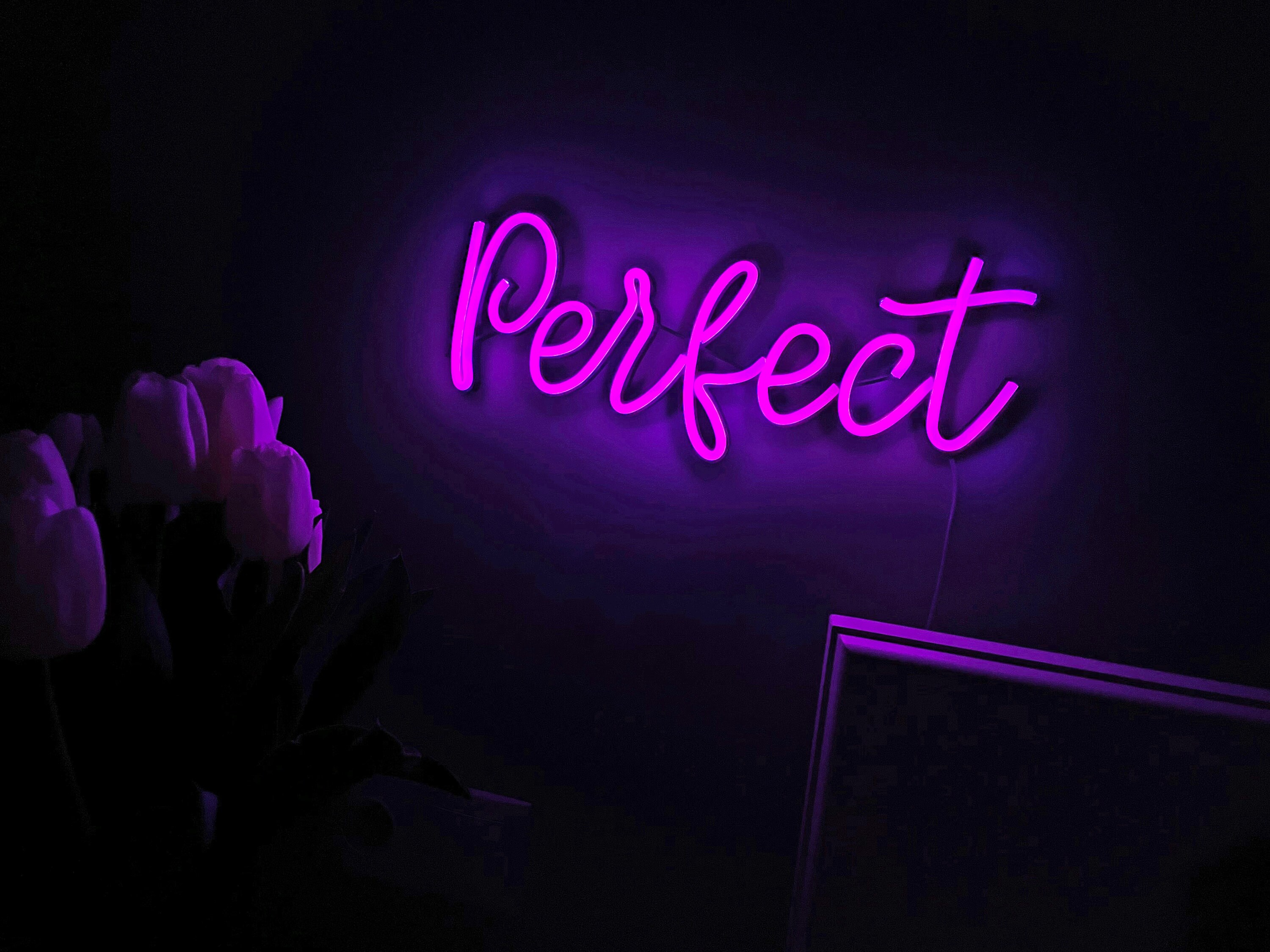 Perfect Neon Sign Art Night Lights Neon Signs Gift Warm Neon Etsy