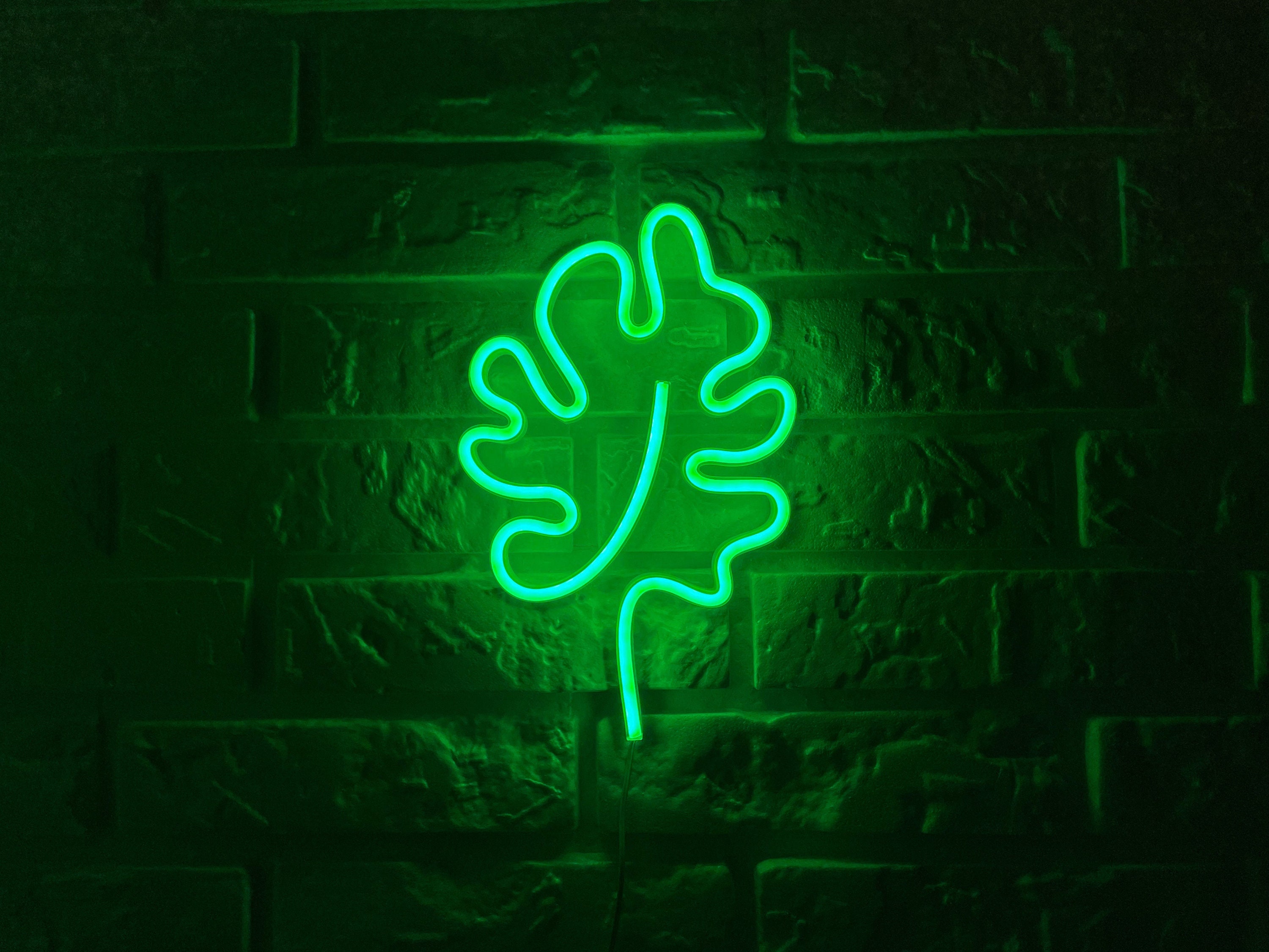 Aesthetic Neon Green Signs, Green Neon Lights