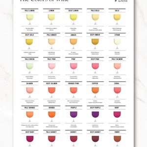 Los colores del vino: un póster con una tabla de colores del vino para entusiastas
