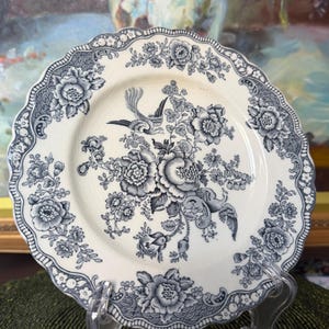 Puede incluir: Un plato de cerámica blanco con un diseño floral y de pájaros azul. El plato tiene un borde festoneado y un patrón detallado de flores y pájaros. El diseño está en tonos de azul y blanco, creando una estética clásica y vintage.