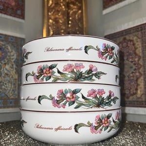 Bols vintage Botanica Pulmonaria Officinalis motif floral par Villeroy & Boch | Luxembourg | Lot de 4