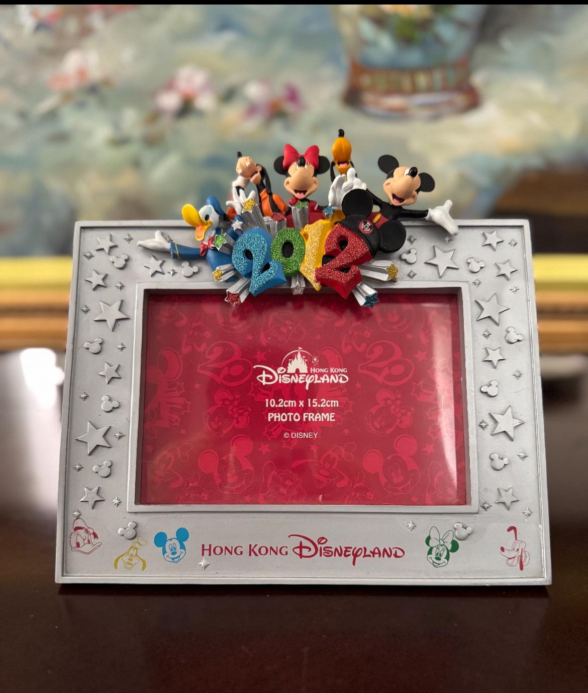 Disneyworld picture frame - Etsy 日本