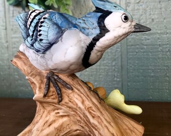 DouDou - asaara！！ Vintage Baby Blue Jay Andrea by Sadek 4