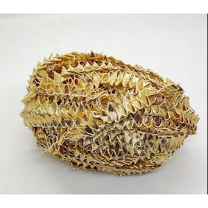 May include: Gold metallic trim with a scalloped edge. The trim is made of a soft, flexible material and has a shiny finish.