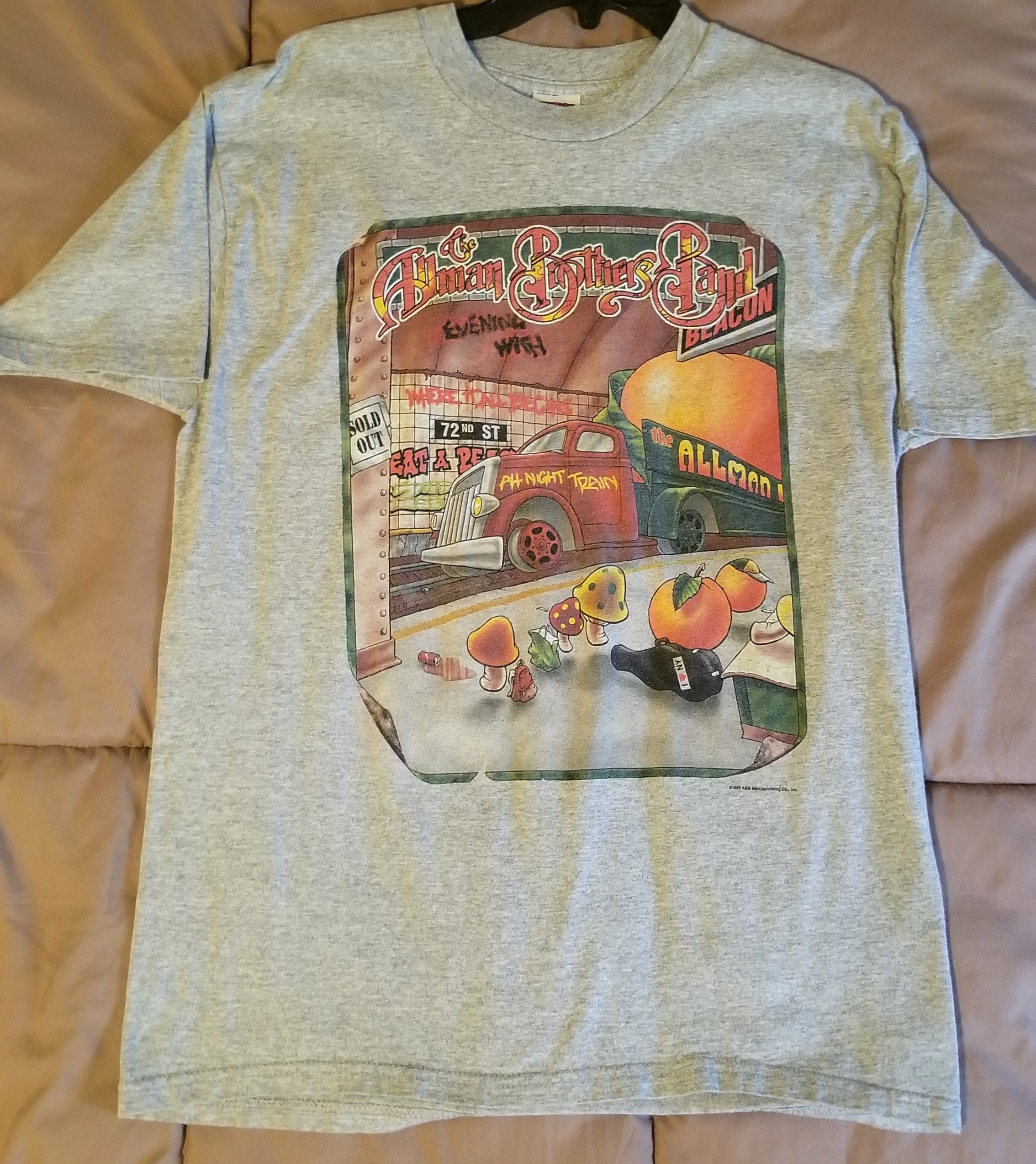 Discover Vintage Allman Brothers Band T-shirt