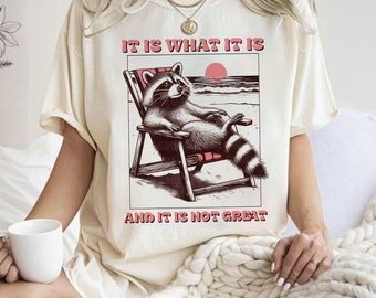 It Is What It Is And It Is Not Great Comfort Color T-shirt, Raccoon Shirt, Animal Gift, Meme Raccoon Shirt, Gift For Women Men Shirt