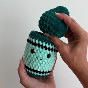 May include: A crocheted plush toy shaped like a crayon with a removable cap. The body is light mint green with dark green and black horizontal stripes, featuring two black plastic eyes and a stitched mouth. The cap is a dark green textured yarn.