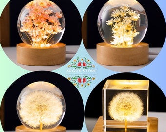 Pink Daisy Flower in Glass Night Lamp , Luminous 3D Crystal Ball , Wood Stand Base , Flower Sphere Ball | Unique Gifts for Anniversary