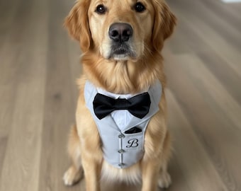 Puede incluir: Un perro Golden Retriever con un chaleco de esmoquin gris claro con una pajarita negra. El chaleco tiene un pequeño bolsillo y la letra "B" bordada. El perro está sentado en un suelo de madera marrón claro.