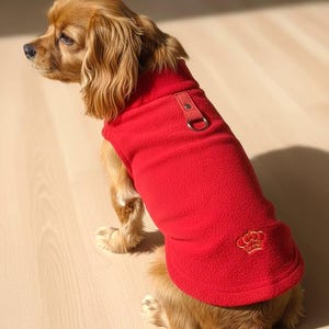 Peut inclure: Un Cavalier King Charles Spaniel portant un gilet rouge en polaire pour chien. Le gilet est orné d'une couronne dorée brodée et d'une sangle en cuir avec un anneau métallique. Le chien est assis sur un sol en bois clair.