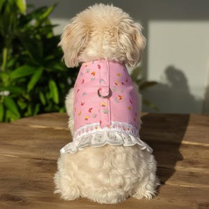 Puede incluir: Un arnés rosa para perros con un estampado de mariposas y un ribete de encaje blanco. Tiene un anillo metálico para sujetar la correa. El perro se ve desde atrás, sentado sobre una superficie de madera.