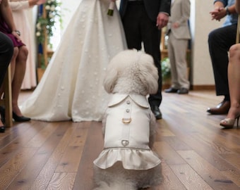 WEDDING DOG HARNESS dress or Birthday ivory satin diamante unique custom made order one off design size small 13”-15” girth 10” neck