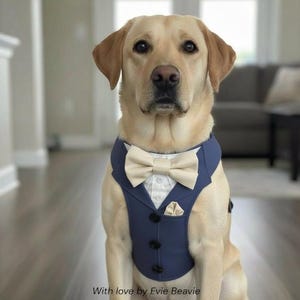 May include: A yellow Labrador Retriever wearing a navy blue dog tuxedo with a cream-colored bow tie, pocket square, and a white dress shirt. The tuxedo has black buttons. The text "With love by Evie Beavie" is at the bottom.