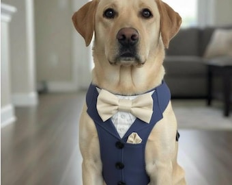 Puede incluir: Un Labrador Retriever amarillo con un esmoquin azul marino para perros con pajarita color crema, pañuelo de bolsillo y camisa blanca. El esmoquin tiene botones negros. El texto "With love by Evie Beavie" está en la parte inferior.