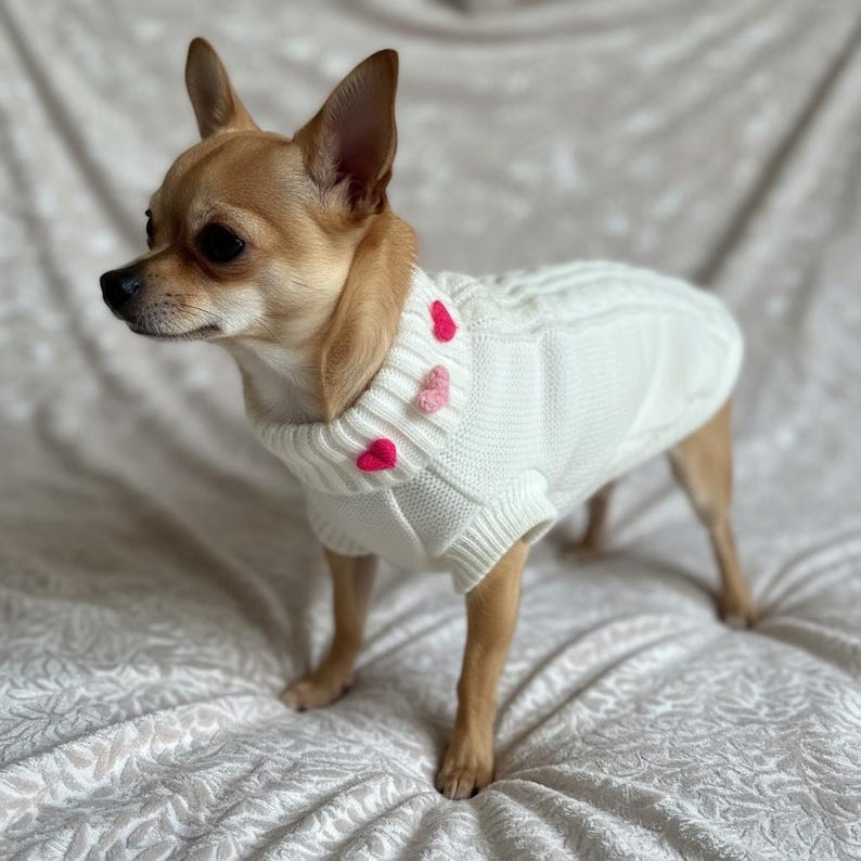 Photo inspiration: Picture Idea: Ivory Dog Sweater Soft Light Woolly Jumper Pink Love Hearts