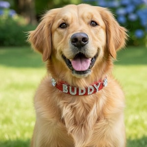 PERSONALISED DOG COLLAR Rhinestone crystal name and gem of your choice beautiful red glitter  faux leather Christmas birthday gift