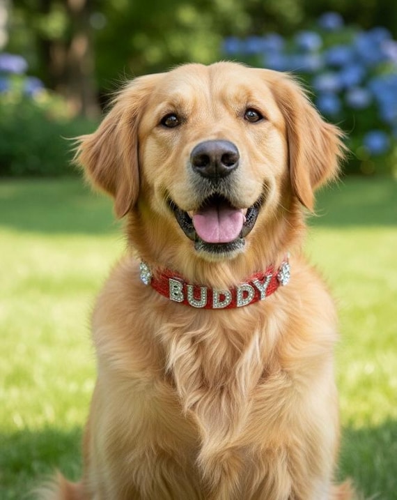 Cuir Réfléchissant Collier De Chien Personnalisé Gravure Gratuite Plaque S-2XL E - Foto 4