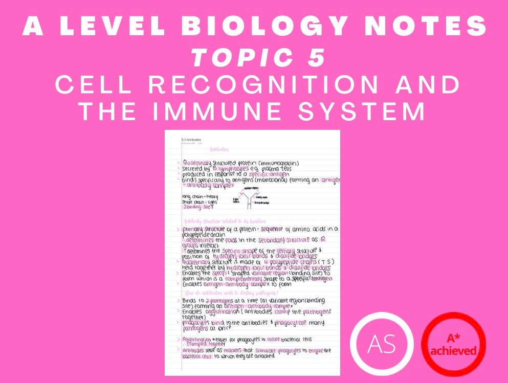 A Level Biology Notes: Cell Recognition and the Immune System - Etsy ...