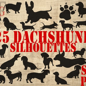 Teckel 25 silhouettes SVG PNG téléchargement immédiat des fichiers blaireau chien saucisse chien weiner chien chiens animaux de compagnie animaux de compagnie machine de découpe Cricut découpe laser 001