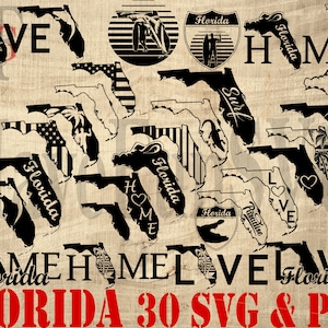 Florida Shapes 30 SVG PNG Files Bundle Taglio Macchina da taglio Cricut Designs Clipart Contorno T-shirt Sud USA Alligatori Stato Gators 011